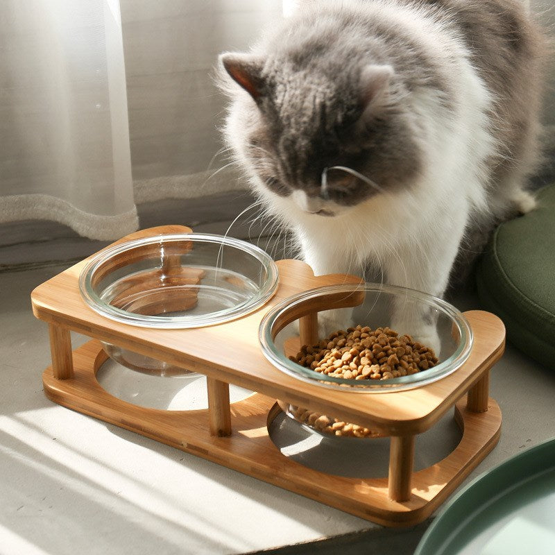 🥣 Bol en Verre pour Animaux 🐶🐱💖