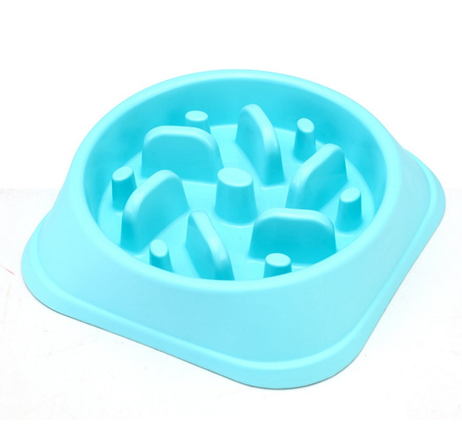 🐾 Bol pour Animaux Mignon & Pratique 🐶🐱💖