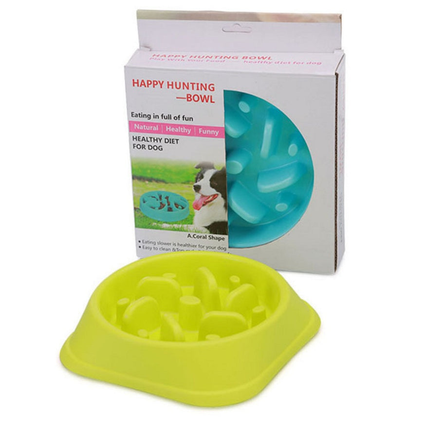 🐾 Bol pour Animaux Mignon & Pratique 🐶🐱💖