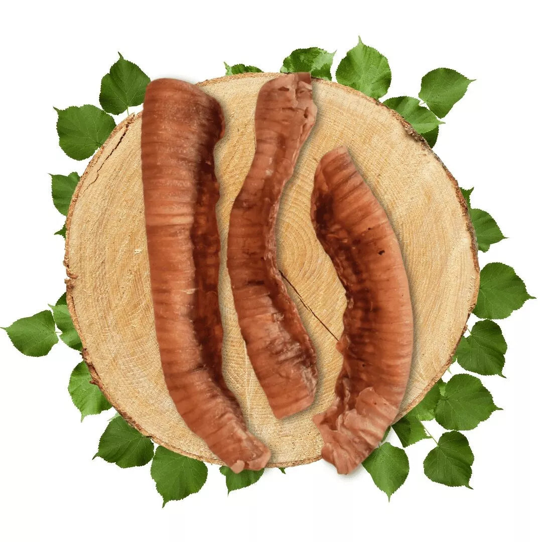 🥩 Trachée de Bœuf à Mâcher Naturelle pour Chiens 🐶💖- Dans ma Gamelle