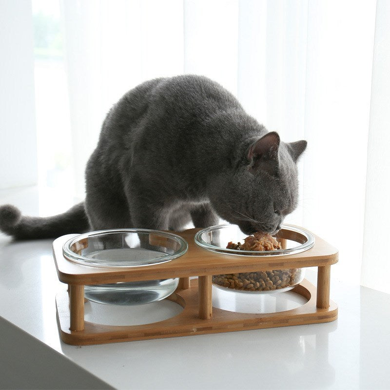 🥣 Bol en Verre pour Animaux 🐶🐱💖