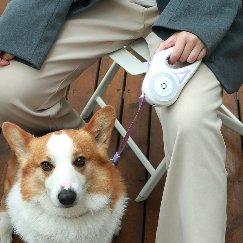 ✨ Laisse Rétractable avec Collier – Traction Automatique pour Chiens & Chats (Petit/Moyen)