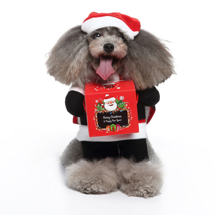 🎭 Costume Mignon 3-en-1 pour Chiens 🐶💖