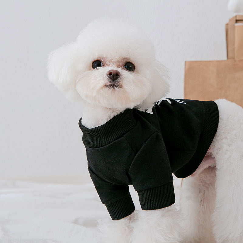 👕 Vêtement Mignon pour Animaux 🐾✨