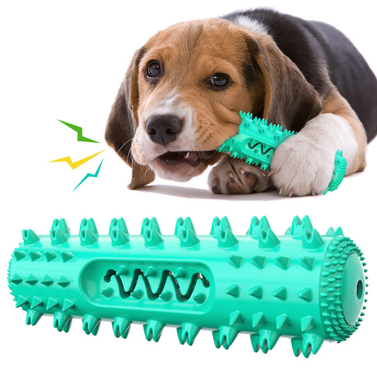 🐶🎵 Jouet à Mâcher Sonore & Brosse à Dents pour Chien – Stick TPR 🦷