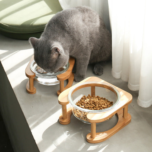🥣 Bol en Verre pour Animaux 🐶🐱💖