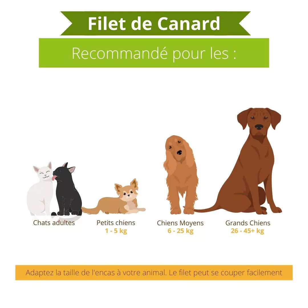 Filets de Canard séchés - Dans ma Gamelle