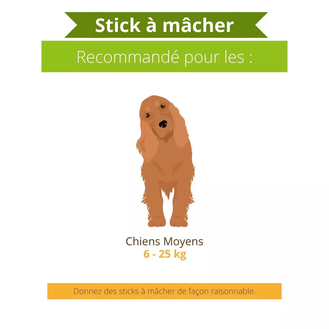 Stick a macher - Dans ma Gamelle