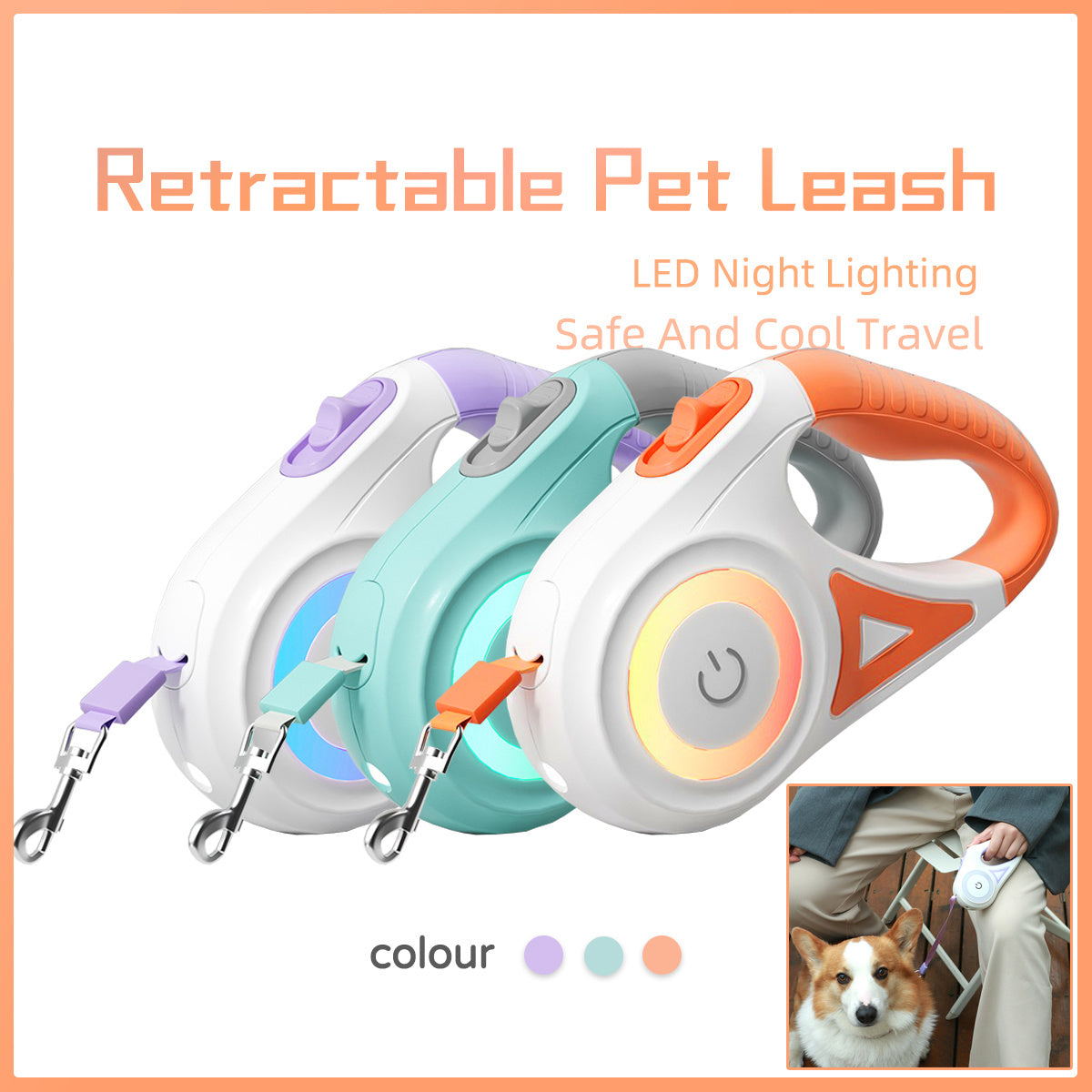 ✨ Laisse Rétractable avec Collier – Traction Automatique pour Chiens & Chats (Petit/Moyen)