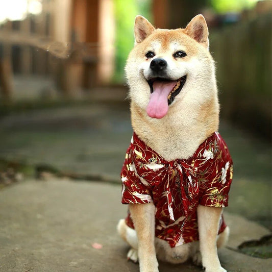 Kimono Japonais pour Chien 🐶