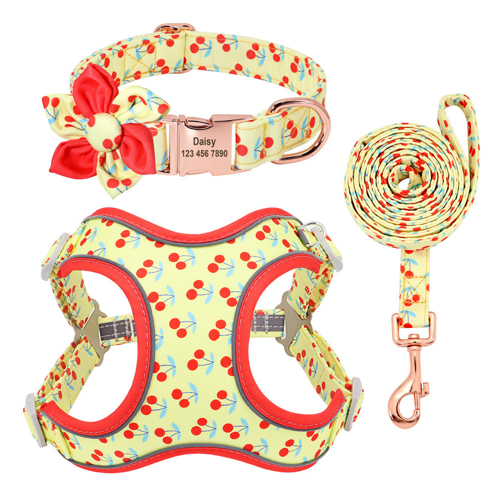 🐾 Laisse & Collier pour Petit Chien 🐶💖