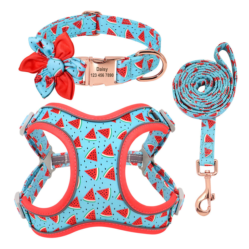 🐾 Laisse & Collier pour Petit Chien 🐶💖