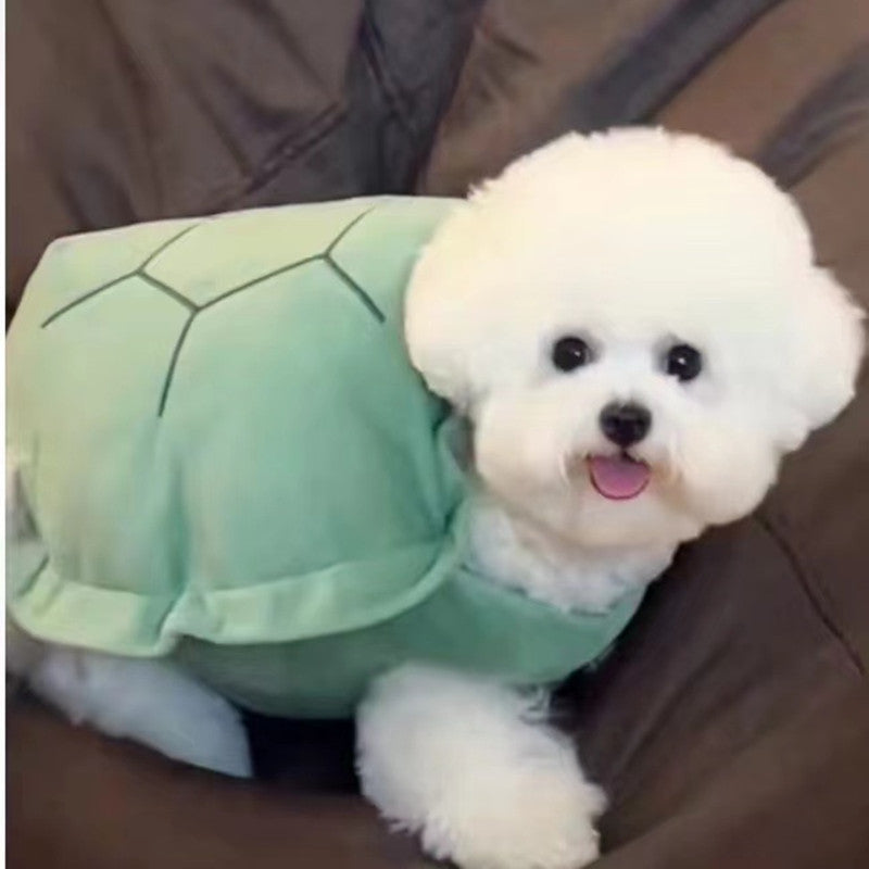 🐢 Tenue Mignonne Tortue pour Animaux 🐾💚