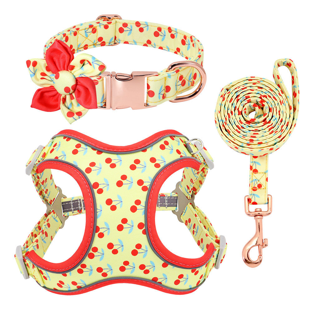 🐾 Laisse & Collier pour Petit Chien 🐶💖