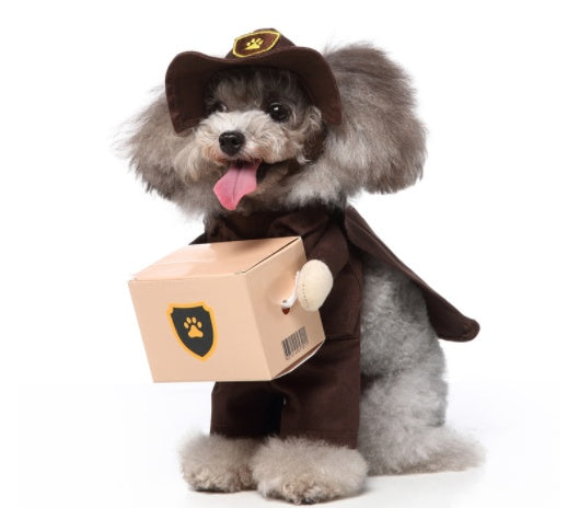 🎭 Costume Mignon 3-en-1 pour Chiens 🐶💖
