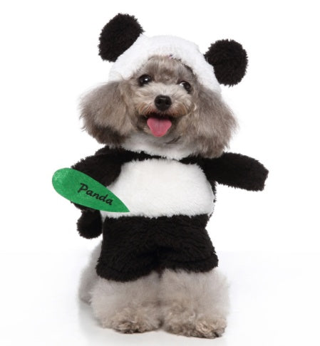 🎭 Costume Mignon 3-en-1 pour Chiens 🐶💖