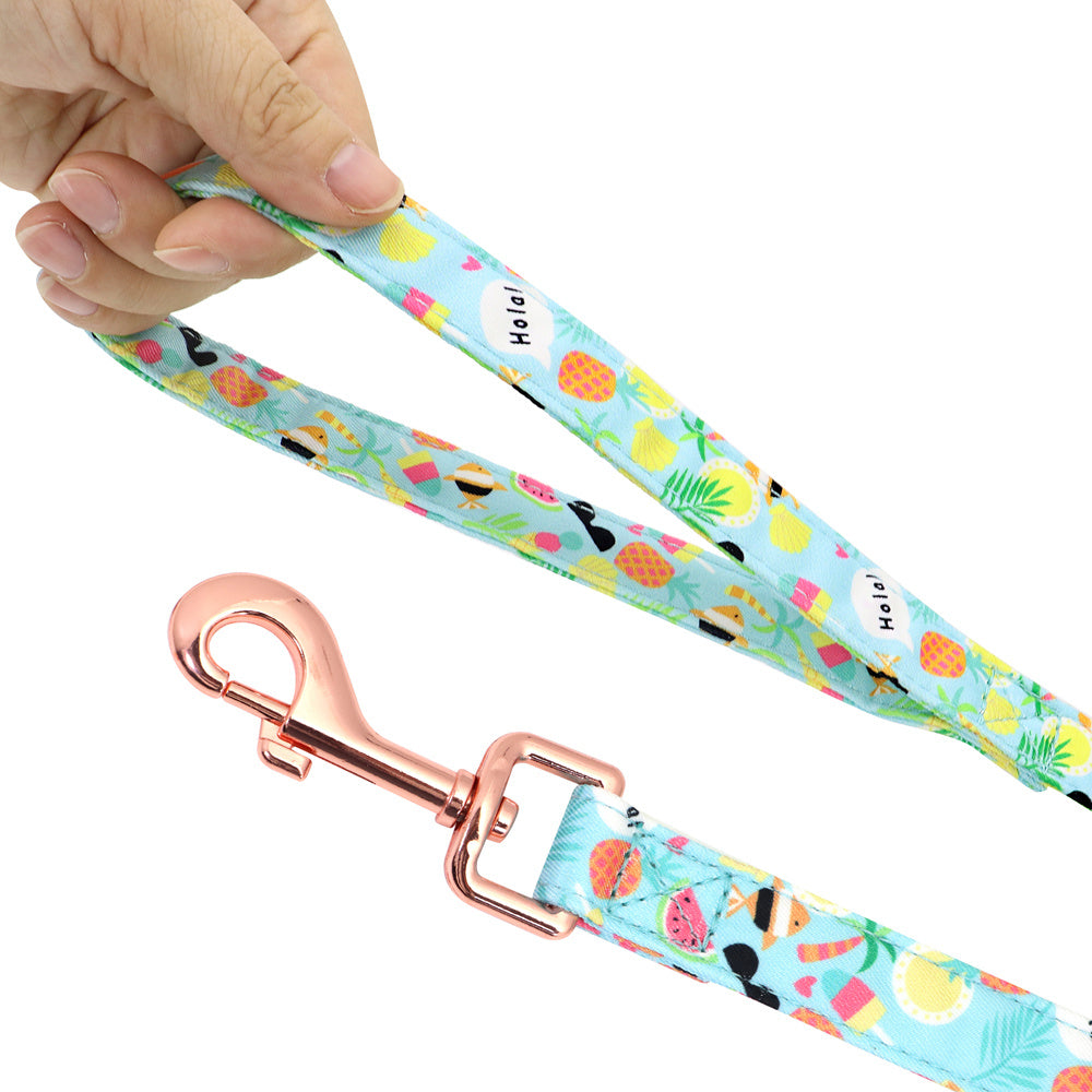 🐾 Laisse & Collier pour Petit Chien 🐶💖