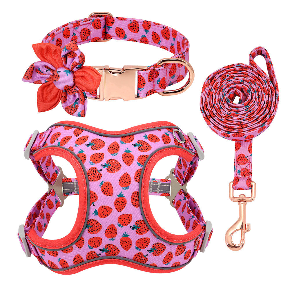 🐾 Laisse & Collier pour Petit Chien 🐶💖