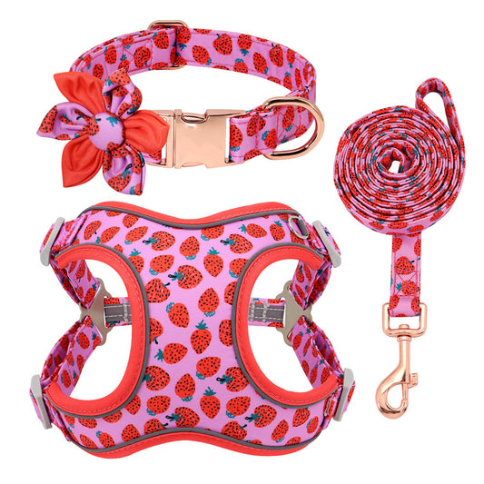 🐾 Laisse & Collier pour Petit Chien 🐶💖