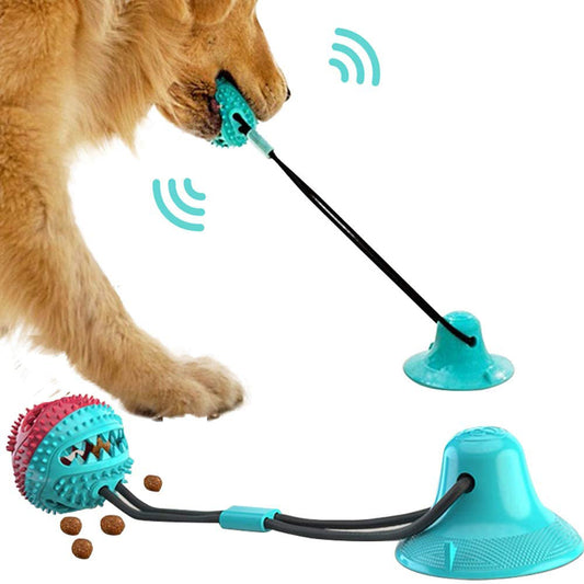 🐶🎾 Jouet Ventouse Interactif pour Chien – Balle Tire-Corde 🦷✨