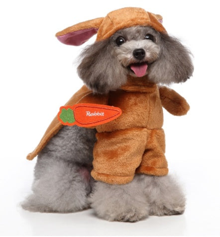 🎭 Costume Mignon 3-en-1 pour Chiens 🐶💖