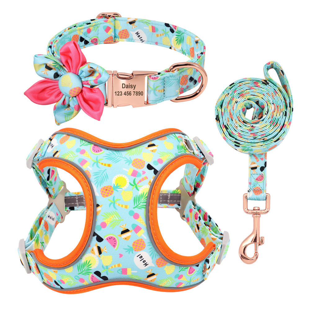 🐾 Laisse & Collier pour Petit Chien 🐶💖
